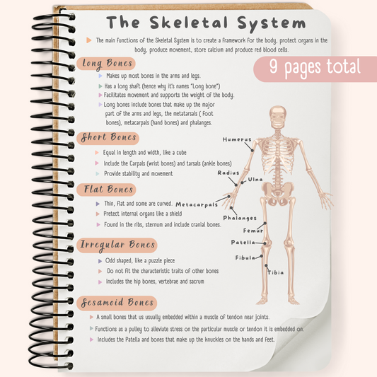 The Skeletal System Study Guide